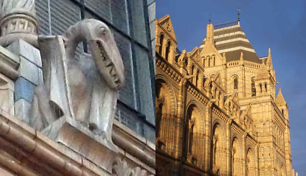 London’s Natural History Museum is an amazing building, decorated inside and out with images of plants and animals. The pterosaur at left is one of several visible on the outside of the museum. Images: Darren Naish.