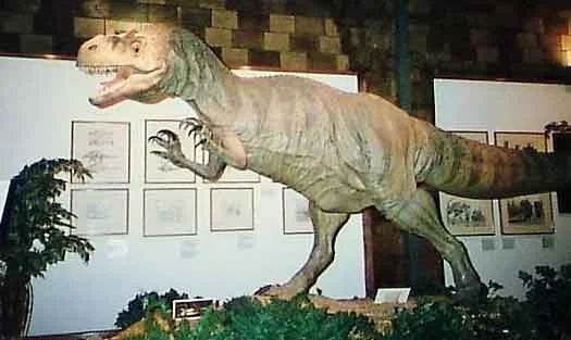 Here’s the only photo I’ve seen that shows what the exhibition looked like. Behind the Czerkas Allosaurus , framed illustrations on the wall include pieces by Ken Carpenter (at left) and Greg Paul (at right). I can definitely see Paul’s Styracosaurus vs Albertosaurus image. A better quality version of this photo will be uploaded to TetZoo in the near future (thanks to Spike Ekins for permission). Image: Spike Ekins.