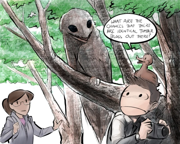 ‘The Great Potoo’, interpreted somewhat literally, from the online comic Question Duck ( original panel here ). Image: (c) Question Duck .