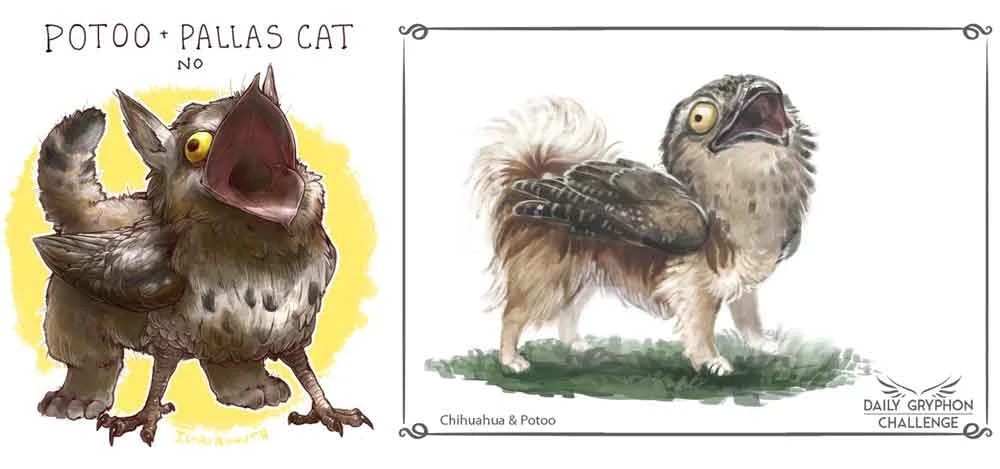 Potoo x Pallas cat by iguanamouth (from their “kept getting requests for gryphons so heres a bunch of them At Once “ project), Potoo x Chihuahua by Pechschwinge, from their Daily Gryphon Challenge. Images: (c) iguanamouth , Pechschwinge .