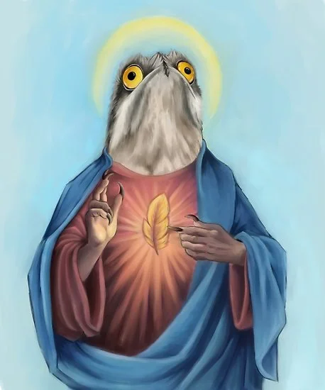 ‘Our Lord and savior potoo bird’. This image is by dragongirl222, who does a whole range of potoo-themed merchandise at redbubble . Image: (c) dragongirl222 .