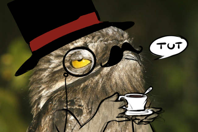 Potoos are just ripe for things like this, it seems. This image, titled ‘Potoo is a sir’, appeared on imgur in 2014 and is borrowed from here . Image: (c) Polarbearsarentreal .
