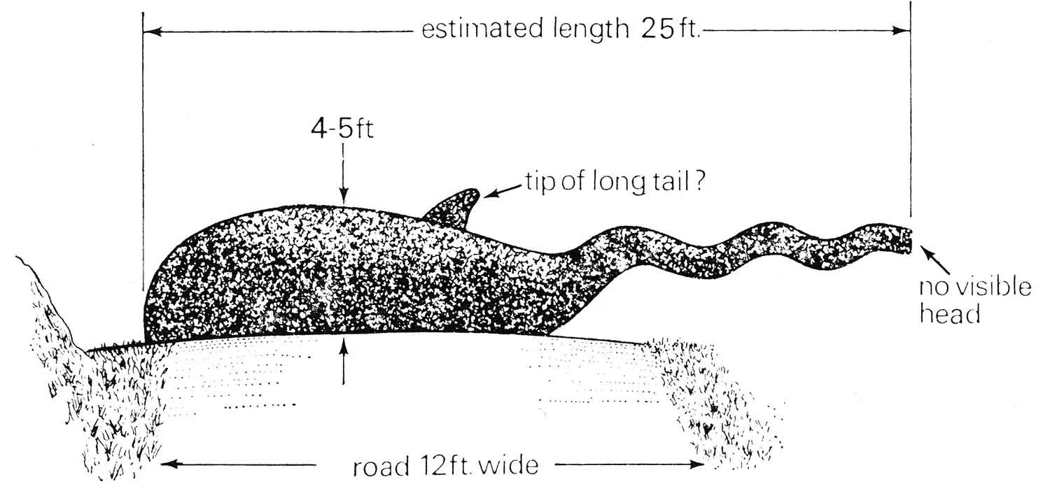 The Spicer sighting as conventionally portrayed, here by Dinsdale (1976). Image: Dinsdale (1976) .