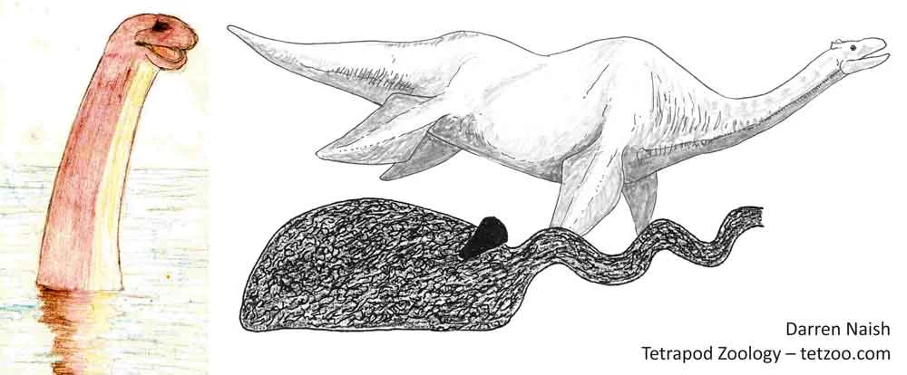 Nessie, the beast of many forms. It’s almost as if people are describing all manner of different things. Images: Darren Naish.