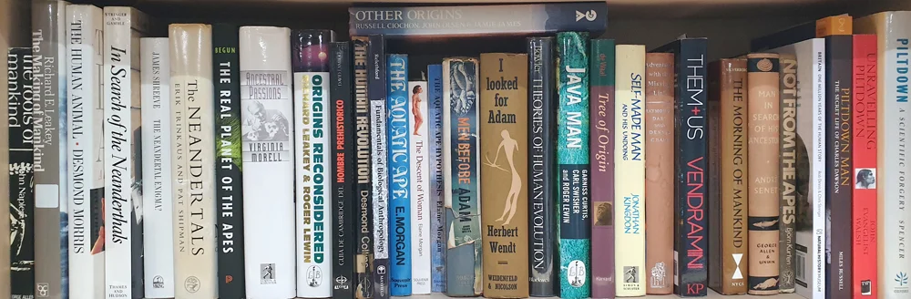 Primate evolution: another of those subjects that gets written about a lot . Here are some of the (mostly hominid-themed) primate books in the TetZoo collection, but far from all of them. Pet and fringe theories abound in the popular and semi-popular literature on hominid evolution. Image: Darren Naish.