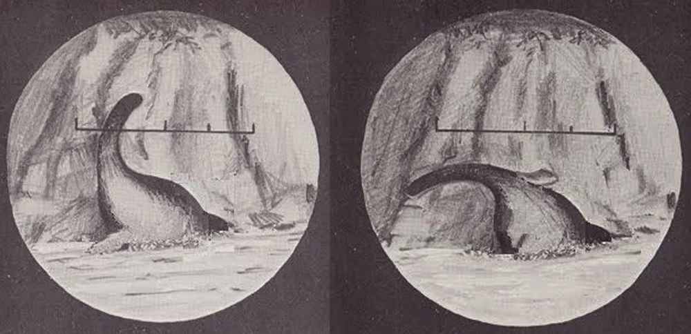 Torquil MacLeod’s Nessie of February 1960, observed through binoculars and estimated to be 13-15 m long, as drawn by Alan Jones for Witchell (1975) . Image: Alan Jones/ Witchell (1975) .