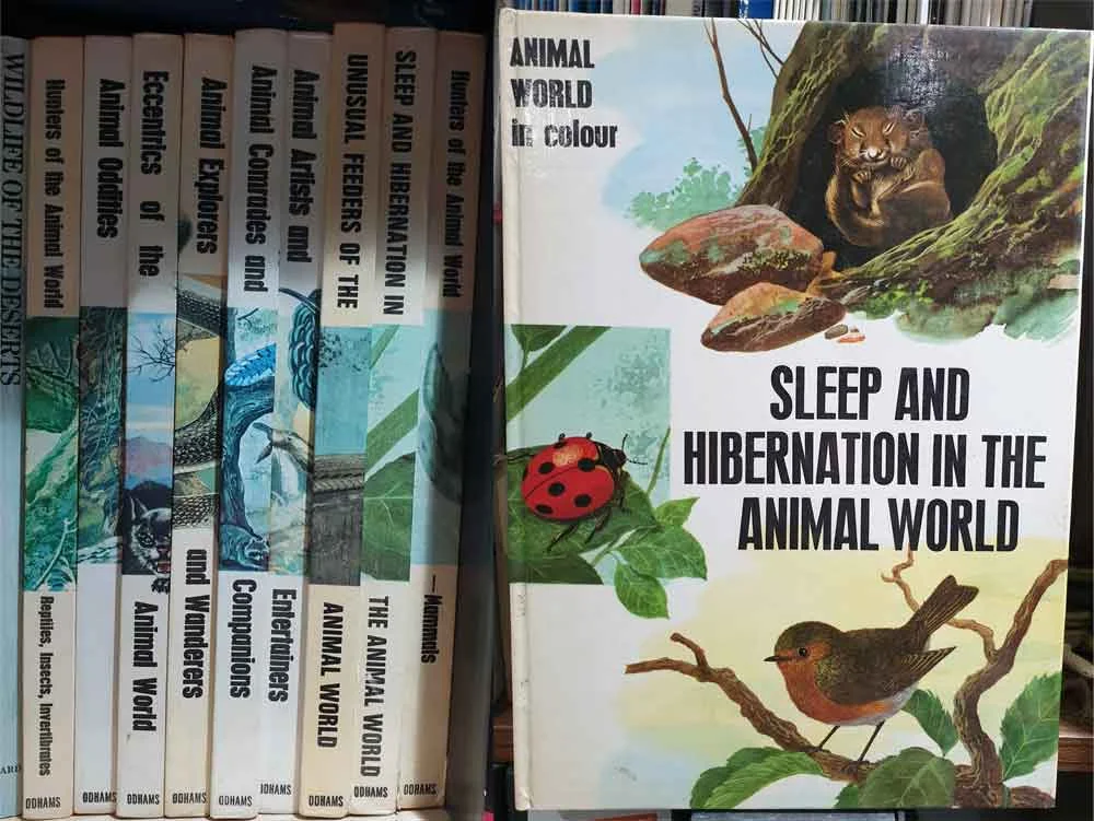 Maurice Burton’s Sleep and Hibernation in the Animal World , part of the Animal World in Colour series, shown at left at their home in the TetZoo library (there are 12 titles in total, so I’m still missing three). Images: Darren Naish.