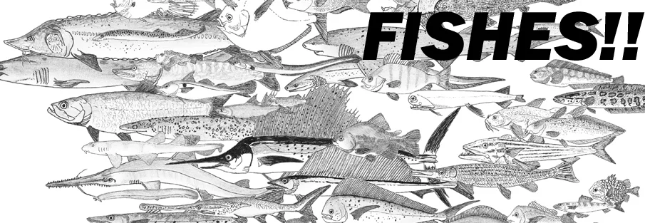 Fishes. I ain’t sayin’ nothing, apart from what I just said. Image: Darren Naish.