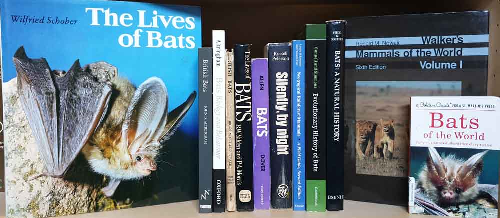 TetZoo Towers bat library. The several boxfiles of reprints and photocopied articles are not shown. Image: Darren Naish.