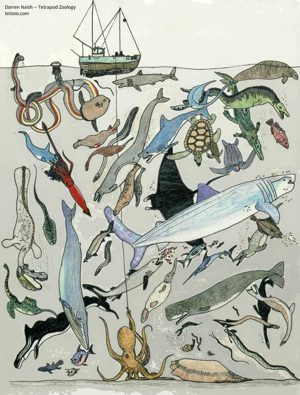 Sea monsters real and imagined, an old illustration done as a prototype for a mural. Image: Darren Naish.