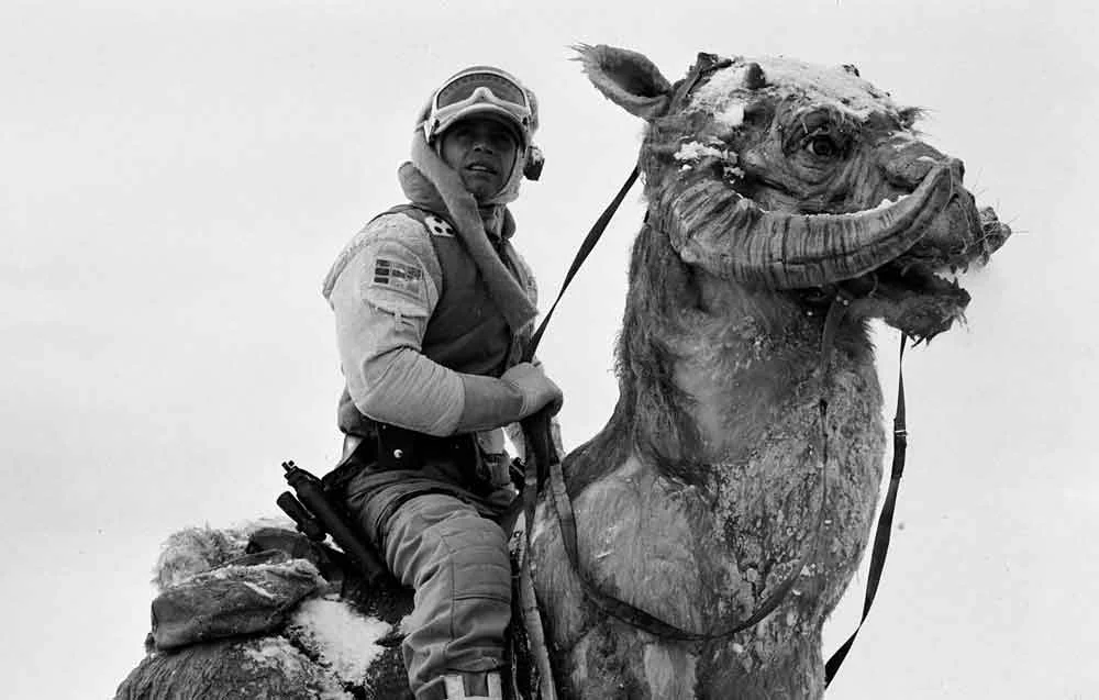 Tauntauns started life as kangaroo-dinosaur creatures, the first concept art by Joe Johnston actually making them look rather like fuzzy theropods (could Johnston have been inspired by the fuzzy dinosaur artwork that had appeared in Bakker’s Scientific American article?). Today they’re one of the most-loved creatures of the canon. Image: StarWars.com.