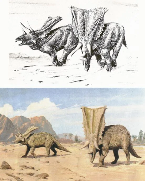 Styracosaurus-Chasmosaurus-Bakker-original-Burian-552px-69kb-May-2019-Tetrapod-Zoology.JPG