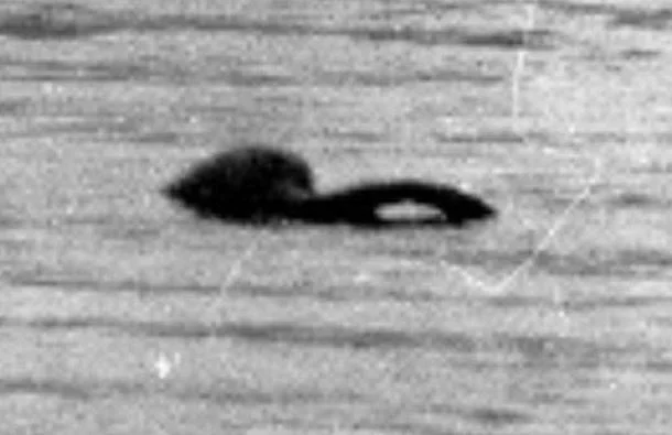 One of Frank Searle’s (in)famous Nessie photos. I’m 99% sure that this exact image made a brief appearance in KOTM. Image: (c) Frank Searle.