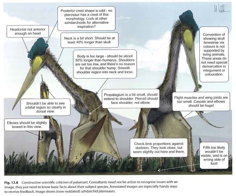 Feedback and criticism is crucial, but it can be difficult to know what to say to artists when you aren’t one yourself. In this section of the book, Mark provides advice, using his 2008 azhdarchid image as a piece that might benefit from constructive criticism. This piece accompanied the Witton & Naish (2008) PLoS paper on azhdarchids . Image: (c) Mark Witton/ Witton (2018) .