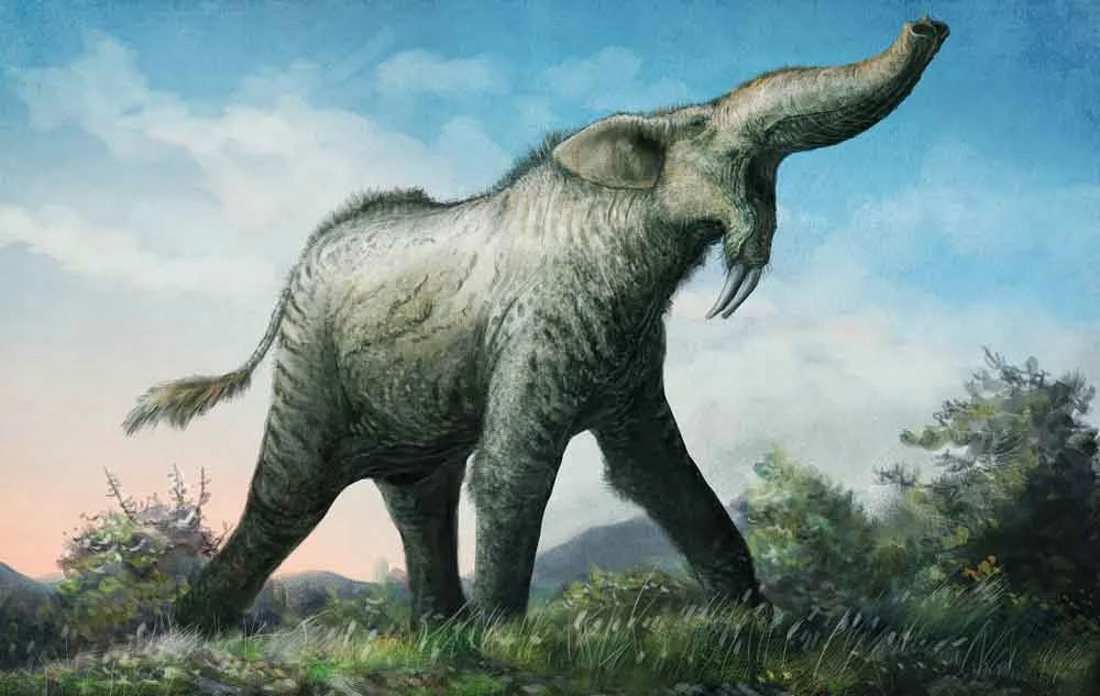In many cases, the favoured, traditional look for a given prehistoric animal is not necessarily the one we might favour. Here’s an example: Mark has argued that a new look for the proboscidean Deinotherium - shown here - should be considered. Image: (c) Mark Witton/ Witton (2018) .