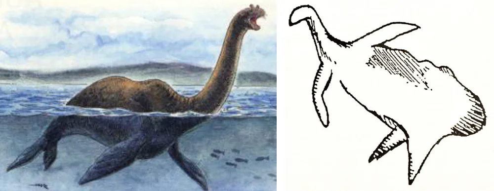So - is that Cosquer Cave animal a depiction of the long-necked mega-seal  Megalotaria ? Err, wouldn’t  Megalotaria  have to actually exist first? Images:  Megalotaria  (c), Stefano Maugeri (from  here ); Cosquer Cave animal from Mysterious Universe ( here ).