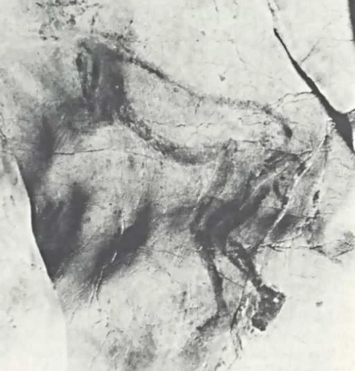 A post-Breuil photograph of the image. As you can see, it doesn’t definitely show the many details he thought it did. But were they present originally and later lost, or not captured in photos? Image: strangehistory.net (from here ).