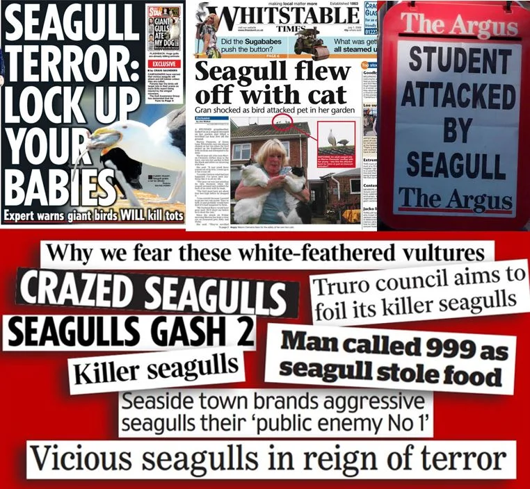 It’s summertime in the UK, and this can only mean one thing….