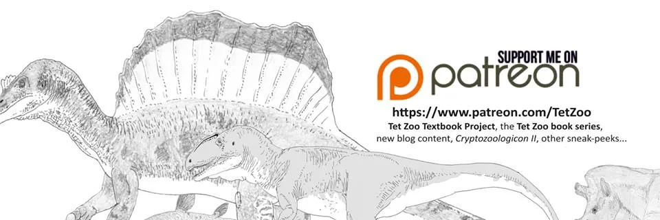 I constantly upload in-prep stuff to patreon, support me there and see it come together :)