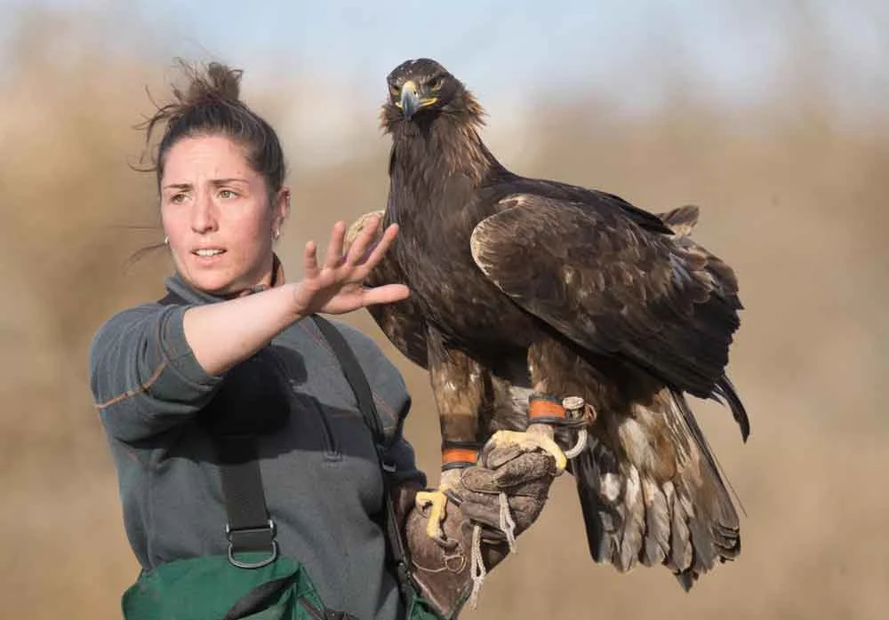 One of our many star speakers for 2019: the amazing Lauren McGough. Image: (c) Lauren McGough, used with permission.