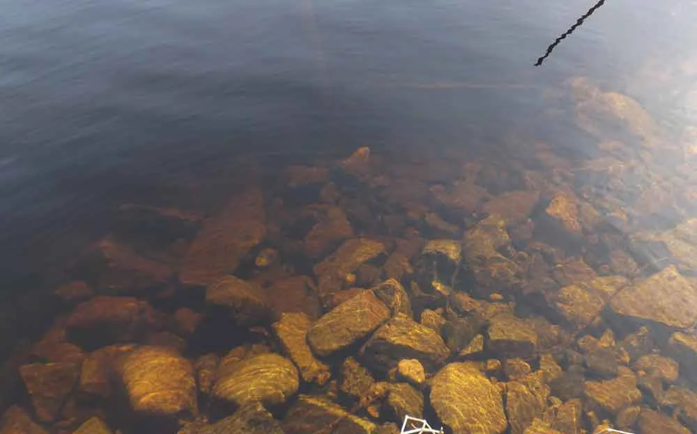 You’ve probably read that the water of Loch Ness is tea-coloured. This is what it looks like when the bottom is less than 1 m away. Get to a depth of 10 m, and there’s essentially no light and nothing but darkness - at least, as far as the human eye is concerned. Image: Darren Naish.