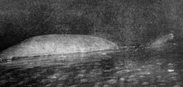 Books on the Loch Ness Monster 3: The Man Who Filmed Nessie: Tim
