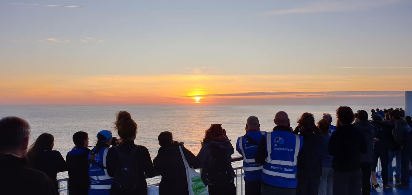 Another plus: amazing sunsets, and sunrises too. Image: Darren Naish.