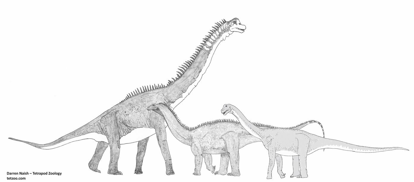 Darren Naish on X: A common criticism from those who know something of the  sauropod fossil record (myself included) is that the mokele-mbembe isn't  consistent with what we know of sauropods today.