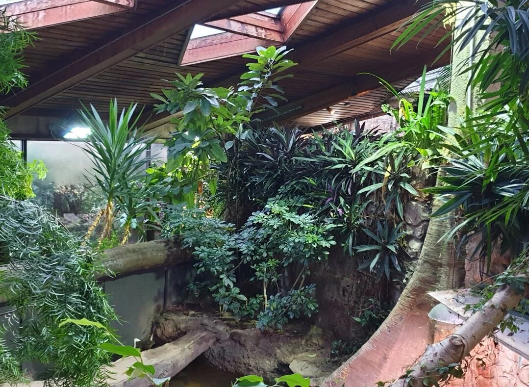 TetZoo Reviews Zoos Bristol Zoo — Tetrapod Zoology