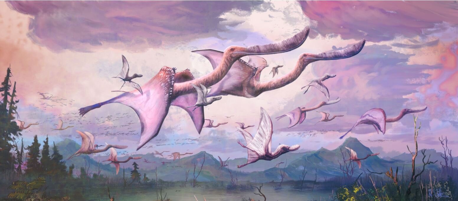 Jurassic Park was wrong about how fast pterosaurs could fly