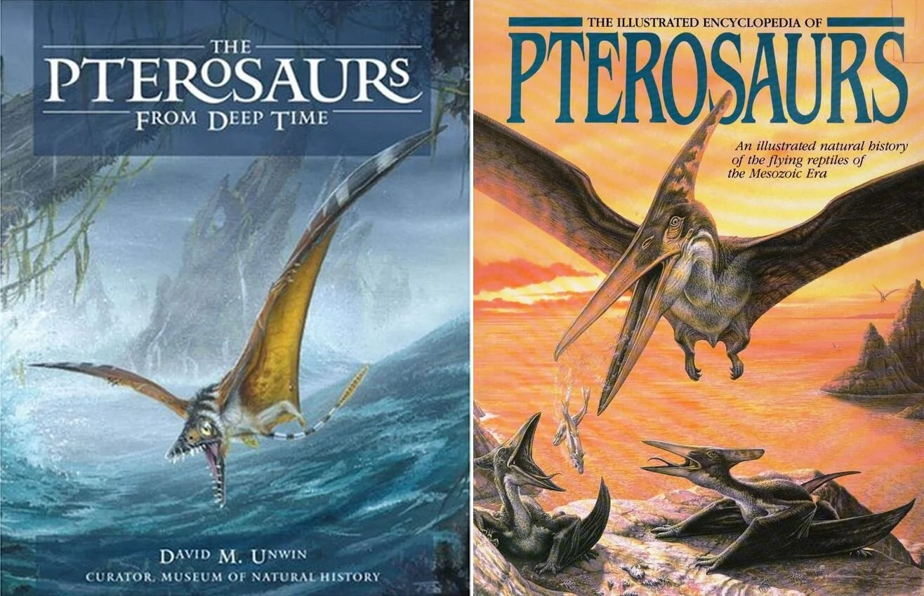 Baby Pterosaurs Were Excellent Fliers and Occupied Different Niches ...