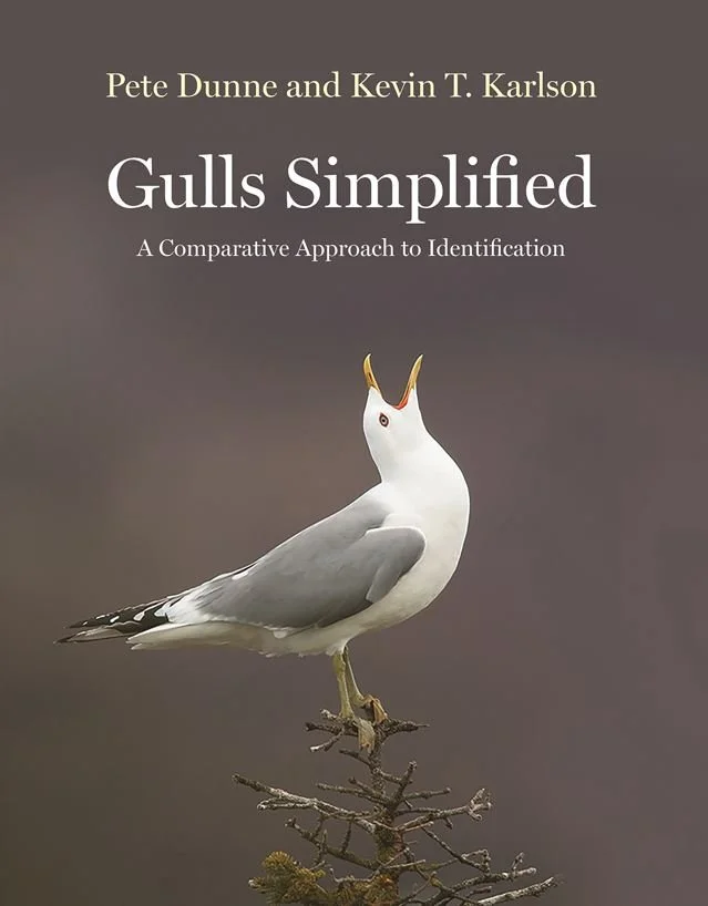 Pete Dunne and Kevin T. Karlson's Gulls Simplified: A