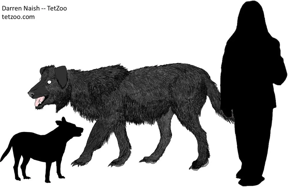 Legend of the Black Dog — Tetrapod Zoology