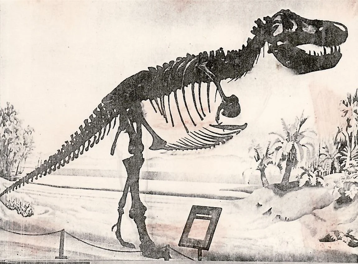 An American Tyrant in London, Collector's Edition — Tetrapod Zoology