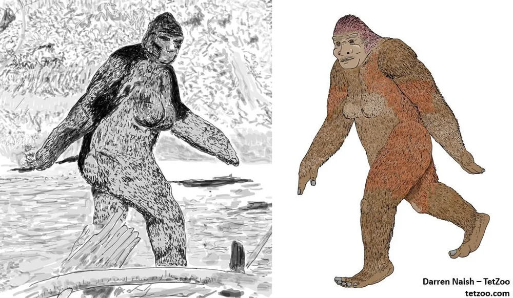 Werewolves in America; the Tale of Dogman — Tetrapod Zoology