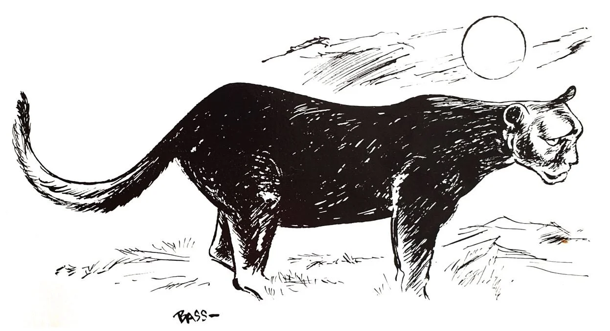 Legend of the Black Dog — Tetrapod Zoology