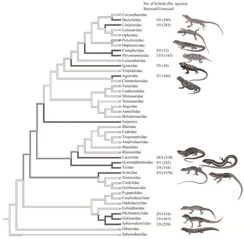 In Quest of Hybrid (Non-Bird) Dinosaurs — Tetrapod Zoology