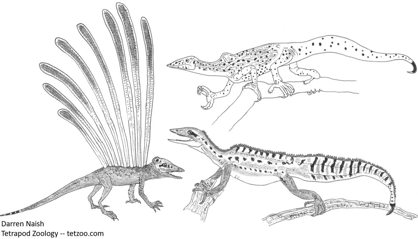 Tetrapod Zoology