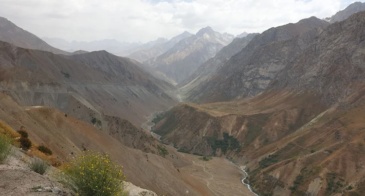 Birdwatching in Tajikistan, Part 1 — Tetrapod Zoology