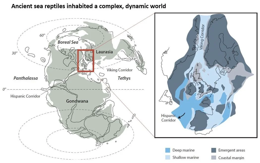 News from the World of Ancient Sea Reptiles — Tetrapod Zoology
