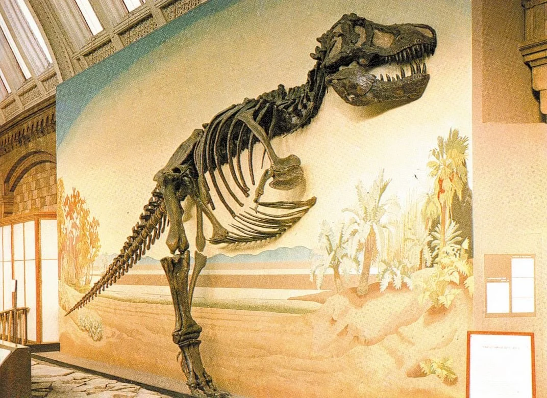An American Tyrant in London, Collector's Edition — Tetrapod Zoology