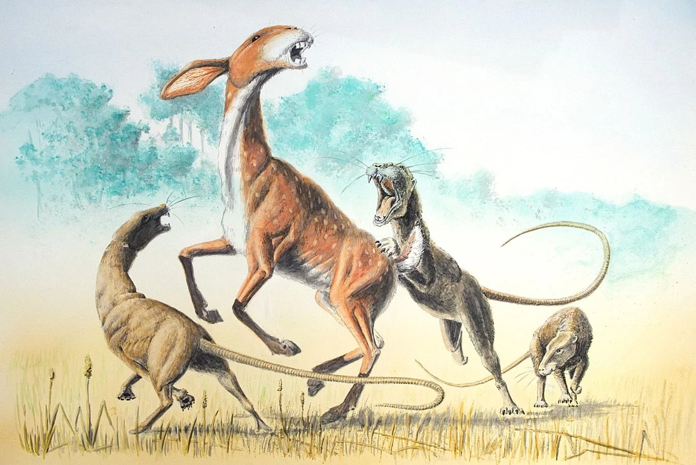 Speculative Zoology and the World of After Man; an Interview With ...