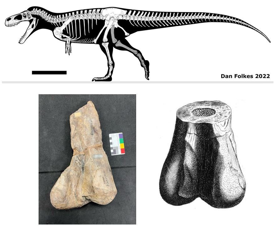 Why the sale of a T. rex fossil could be a big loss for science