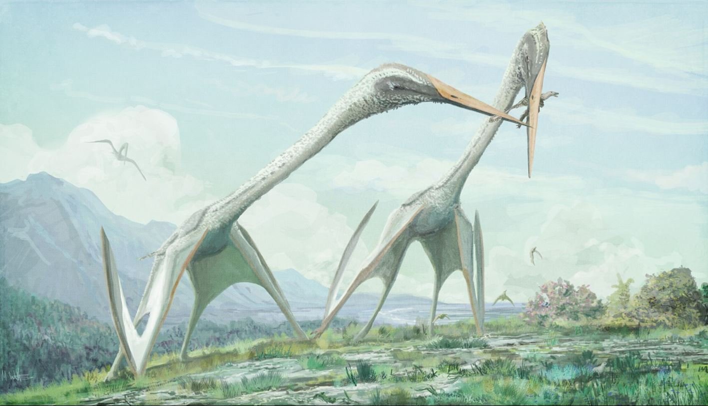 Full article: Morphology and taxonomy of Quetzalcoatlus Lawson