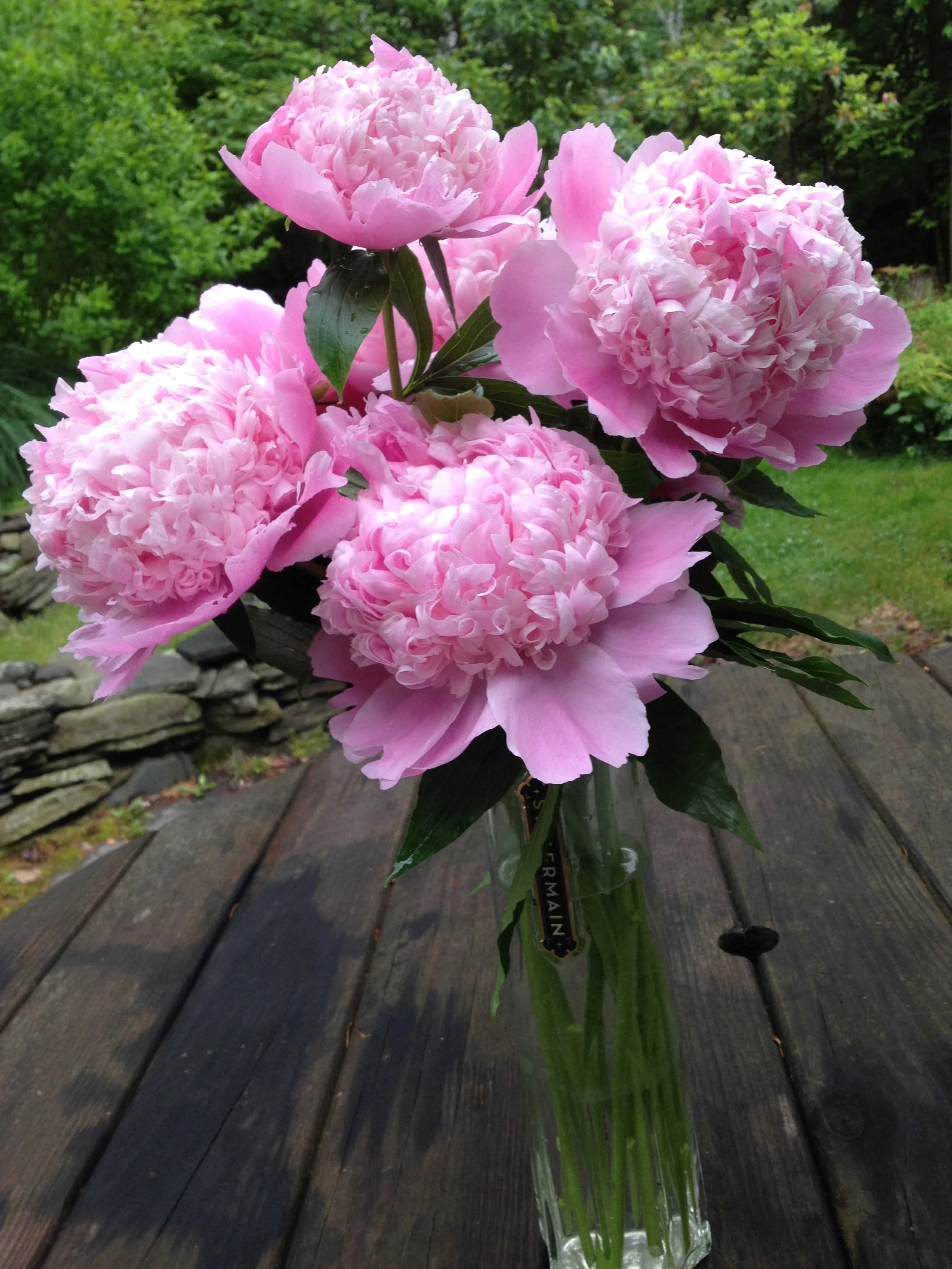 Grew these in my garden!