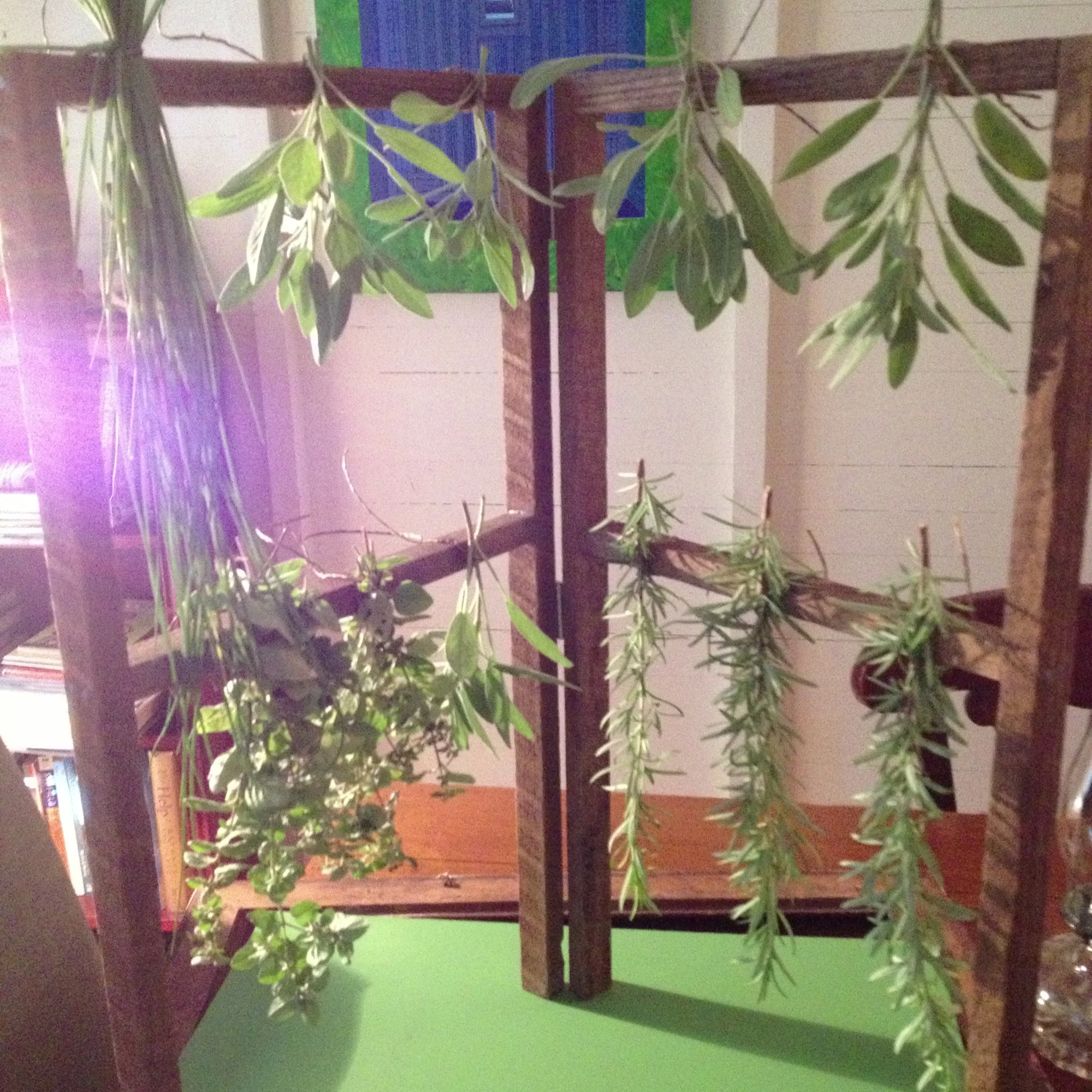 How To Dry Fresh Herbs With An Herb Drying Rack Life Is Made