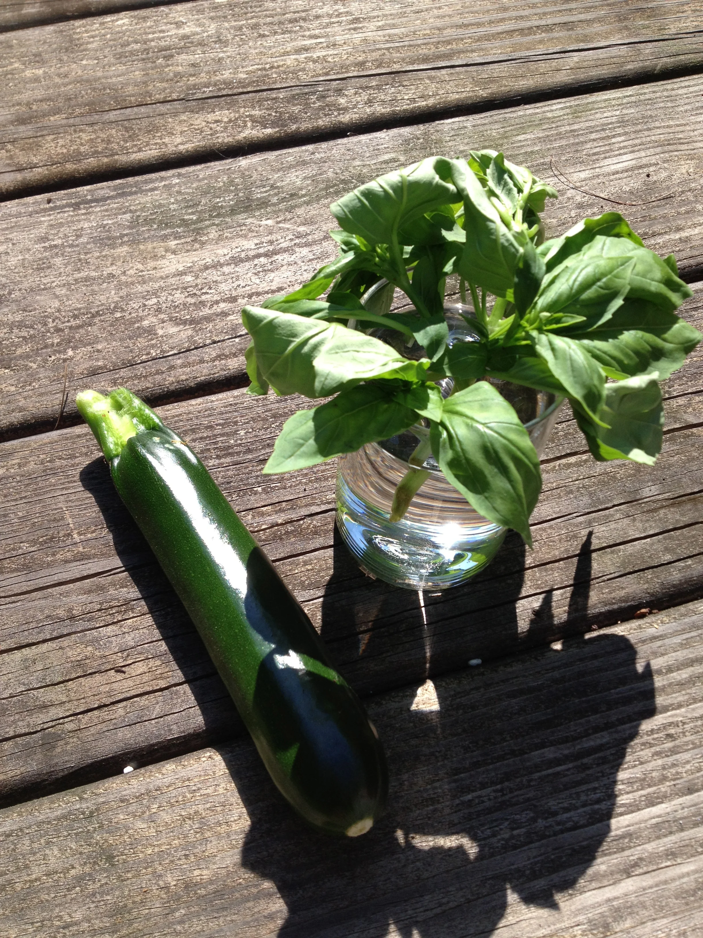 Basil and zucchini freshly picked from the garden. Trying not to let the zucchini get too big and seedy. 