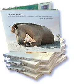 Review New Book Stack.jpg