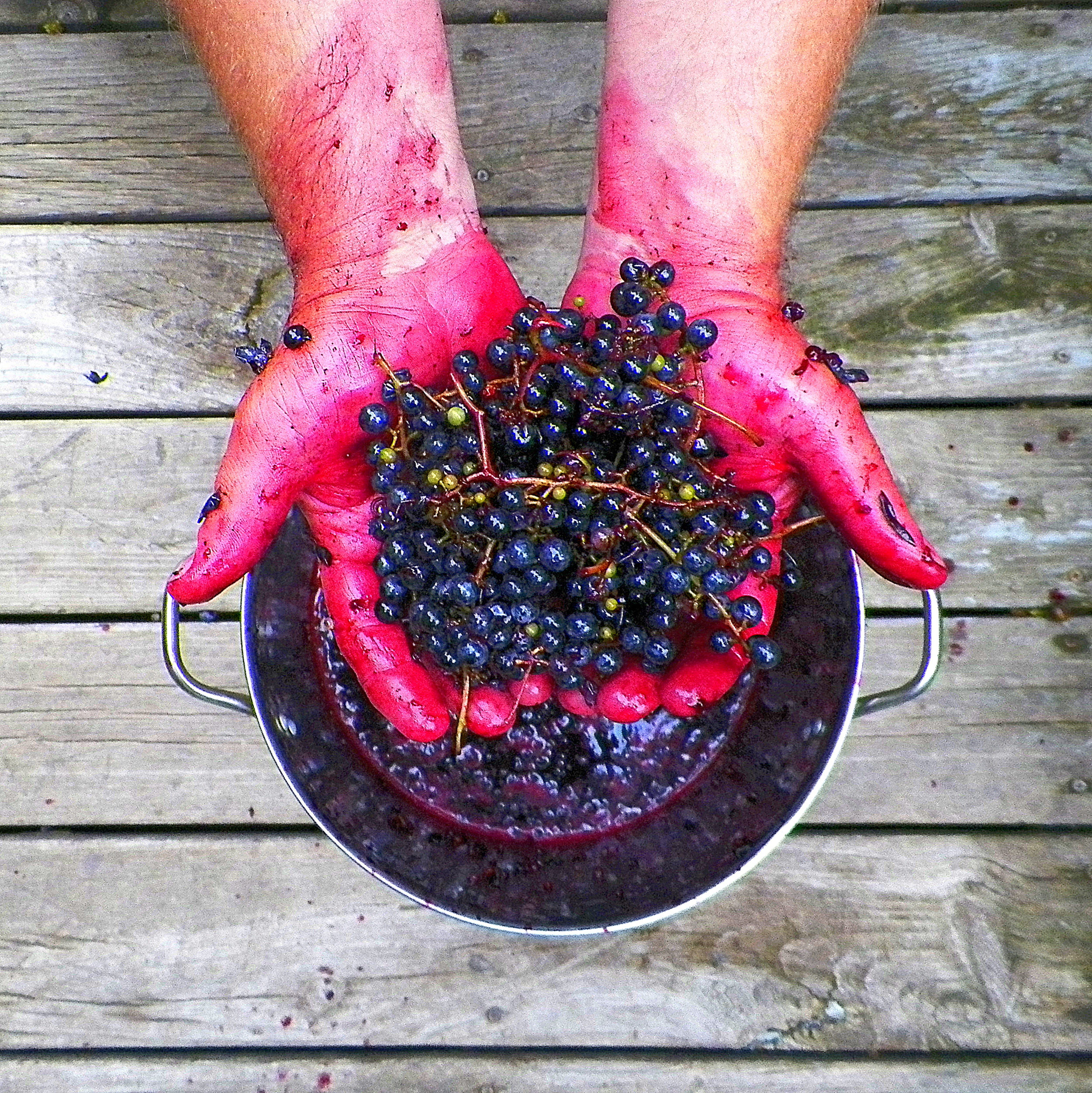 Crushing Grapes Creative Sustenance