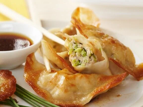 Chicken Dumplings